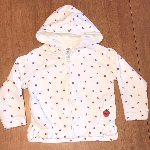 Toddler Girl Size 2T-3T Bundle Fall & Winter Zara, Carters, Cat & Jack, Osh Kosh - Picture 2 of 13